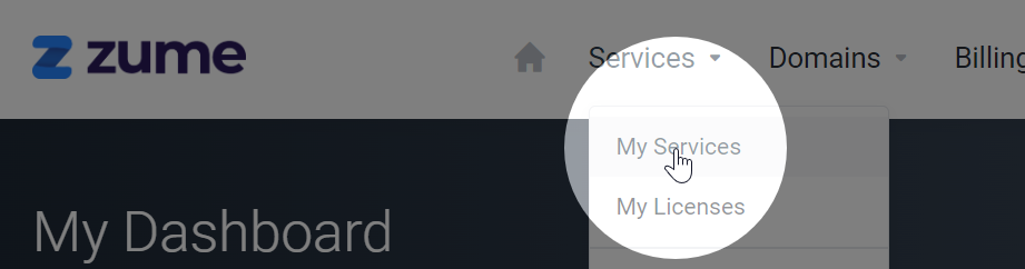 Client Area Login